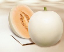 <b>[
]白皮甜瓜瓜品种成熟后果面形成绿色硬</b>
